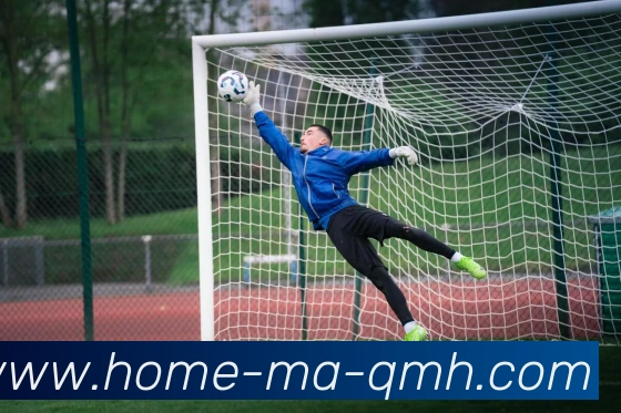 球盟会发展历程